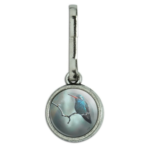 Broad-Billed Hummingbird Resting on Branch Antiqued Charm Clothes Purse Suitcase Backpack Zipper Pull Aid