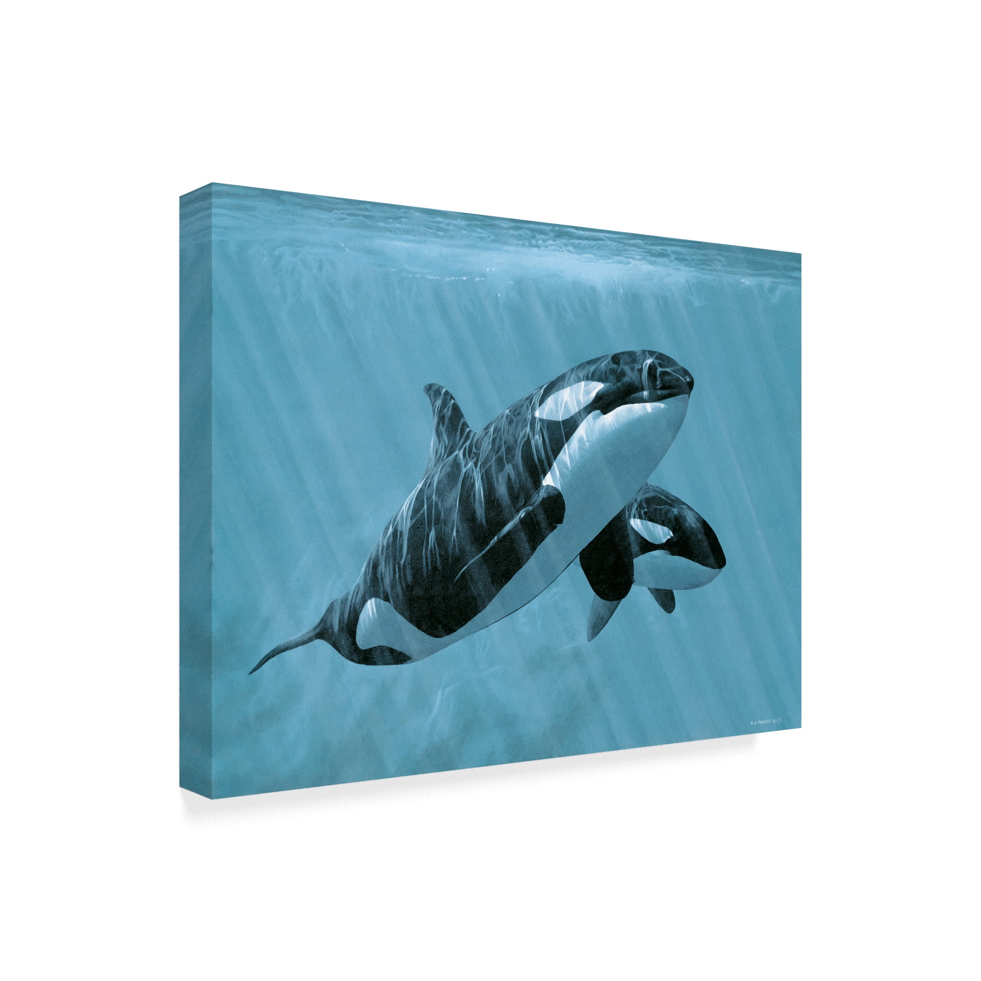 Trademark Fine Art 'Mother And Son Orcas' Canvas Art by Ron Parker