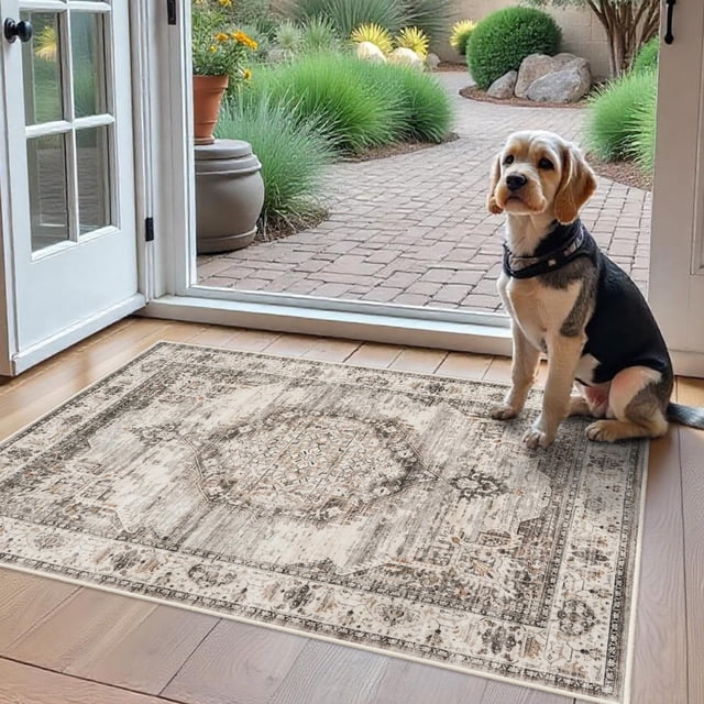 Alfombra YouFortong, lavable, 60 x 90 cm, color beige, para entrada