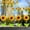Set A, variant on 20pcs Spring Wobbly Flower Car Dashboard Ornament Interior Decor Shaking Head Sunflower Car Accessories Rearview Mirror Steering Wheel Decoration Cute Car Decor for Home Office Desk (20pcsA+B)