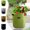 10Gallon, variant on 4 Pack Potato Grow Bags 5 Gallon with Flap, Grow Bags for Growing Potatoes, Duarable Fabric Garden Planter Pots with Harvest Window for Vegetable and Fruits, Black & Green