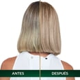 thumbnail image 4 of Tinte para cabello Nutrisse Oleos sin amoniaco 9.1 rubio cenizo, 4 of 6