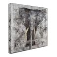 thumbnail image 3 of Trademark Fine Art "Wild Life" Canvas Art by Joarez, 3 of 4