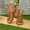 Brown, variant on ATENAR Womens Sandals Summer Beach Women Sandals Fashion Shoes Women Black 6