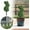 green, variant on Easter Bunny Decorative Artificial Topiary, Green Simulation Leaf Rabbit Ground Insert Stake Spring Decor for Outdoor Porch, Patio, Yard & Garden