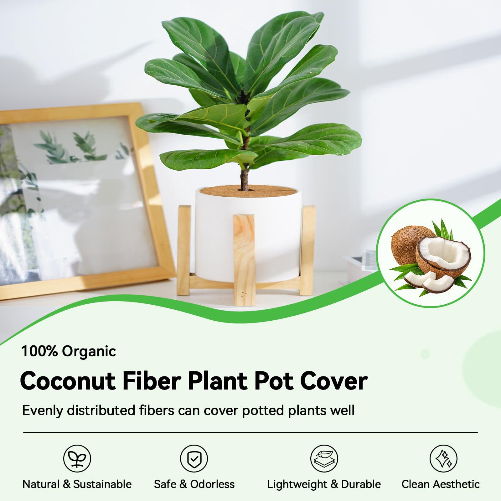10 Pack Coconut Fiber Mulch Ring, 6 Inch Coco Coir Tree Ring Mulch Mat, 100% Natural Tree Protector Mat Plant Cover Ring Coconut Coir Discs Tree Mats Mulch Rings for Indoor Outdoor Trees Plants