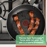 T-fal Easy Care Nonstick Family Fry Pan, 13.25 inch