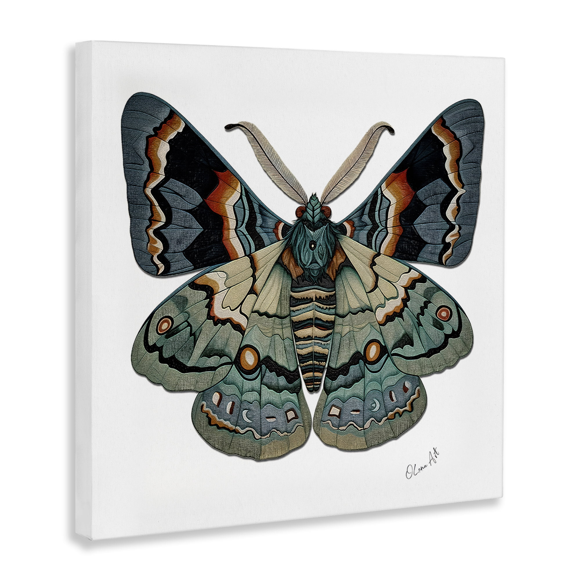 Stupell Industries Symbol Of Change Moth Animals Painting Wrapped Canvas Art Print Wall Art, 36 x 36