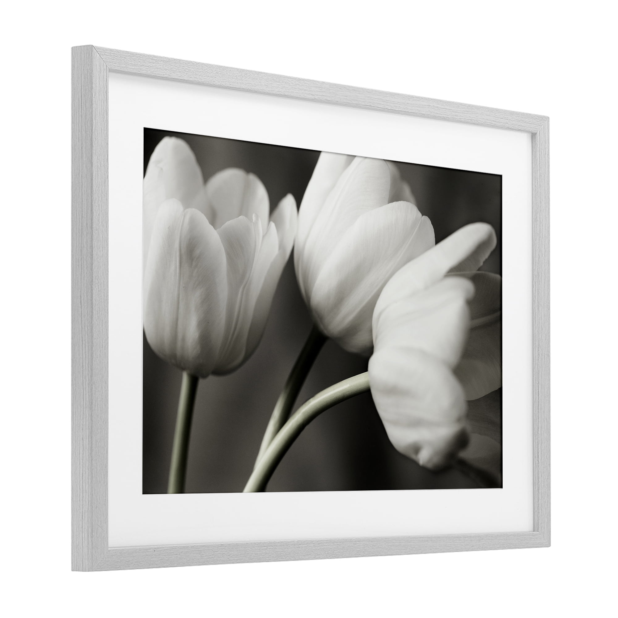 Stupell Industries Row Of Monochrome Tulips Gray Framed Print Under Glass, design by Tom Quartermaine