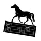 thumbnail image 3 of Placa con nombre para caballos shamjiam 25x27 cm, 3 of 8