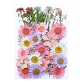 thumbnail image 4 of Birdeem Dried and Embossed Flowers for Resin Kit Candles and Crafts, 4 of 5
