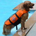 thumbnail image 1 of PENGXIANG Dog Life Jackets  Pet Floatation Life Vest For Small  Middle  Large Size Dogs  Adjustable Ripstop  Dog Lifesaver Preserver Swimsuit  Boating, 1 of 12