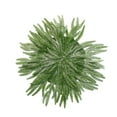 thumbnail image 1 of Christmas Table Centerpiece 42 cm Realistic Green Plastic Simulated Plant Mat Heat Resistant and Non-Slip for Holiday Dining Decor, 1 of 6