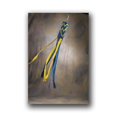 thumbnail image 1 of Bsi Products 79012 Wind Socks  - West Virginia Mountaineers, 1 of 1