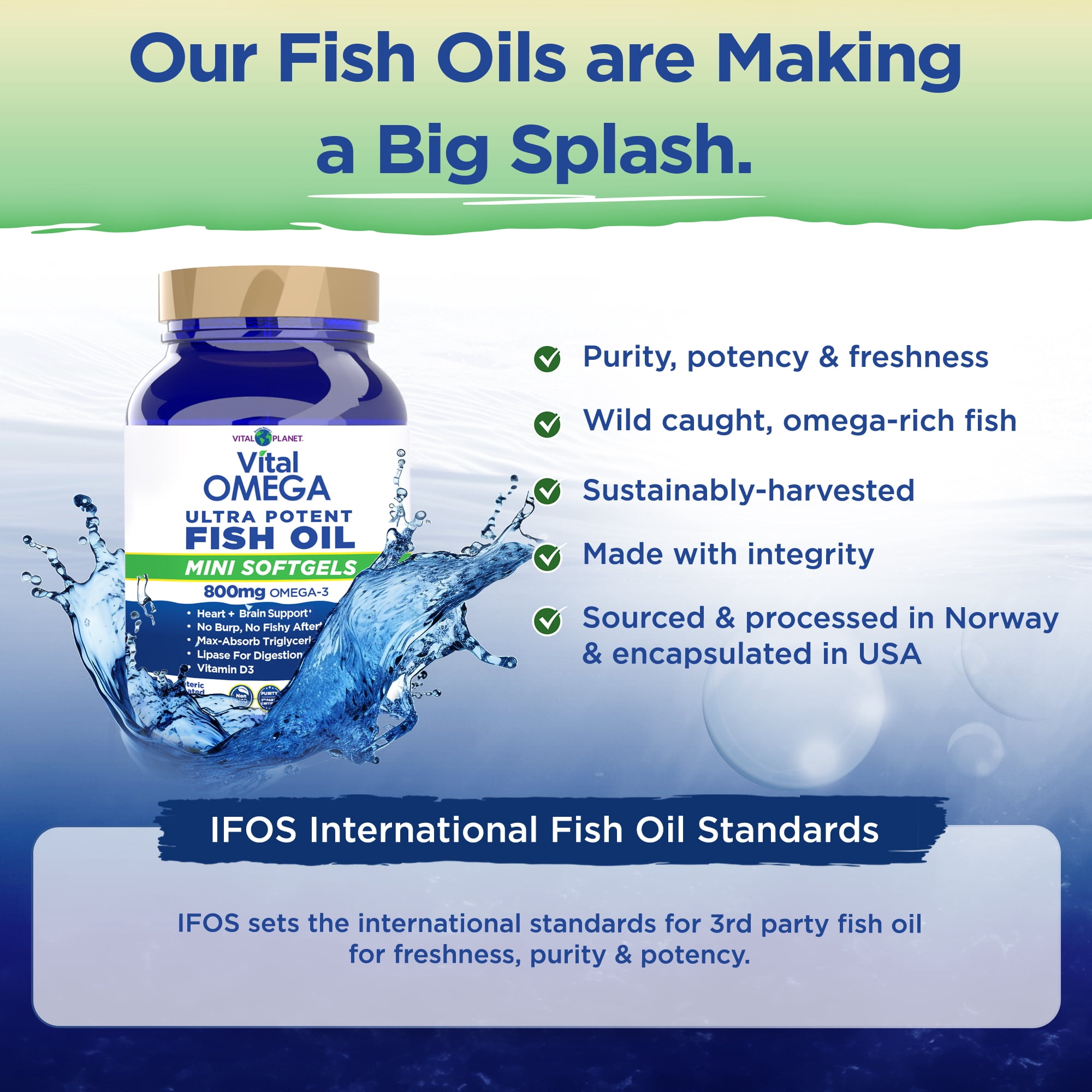 Vital Planet - Vital Omega 3 Fish Oil Mini Softgels Supplement 60 Softgels (Packaging May Vary)