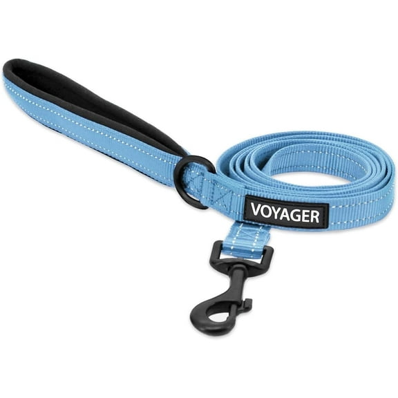 Voyager Reflective Dog Leash with Neoprene Handle, 5ft Long, Supports Small, Medium, and Large Breed Puppies, Cute and Heavy Duty for Walking, Running, and Training, Baby Blue, 2pk