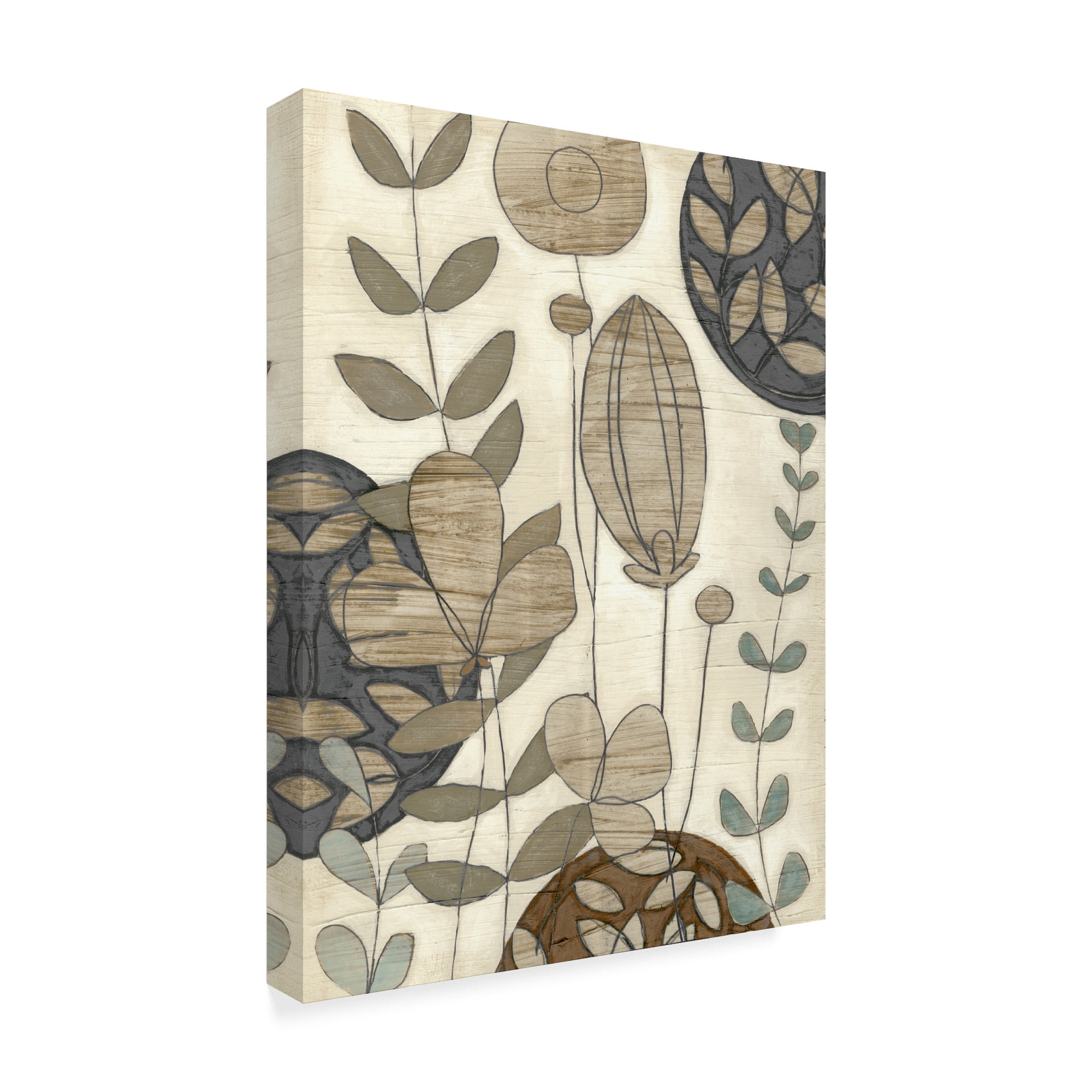 Trademark Fine Art 'Garden Contours I' Canvas Art by June Erica Vess