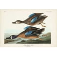 thumbnail image 2 of Audubon, John James 32x23 White Modern Wood Framed Museum Art Print Titled - Pl 313 Blue-winged Teal, 2 of 4