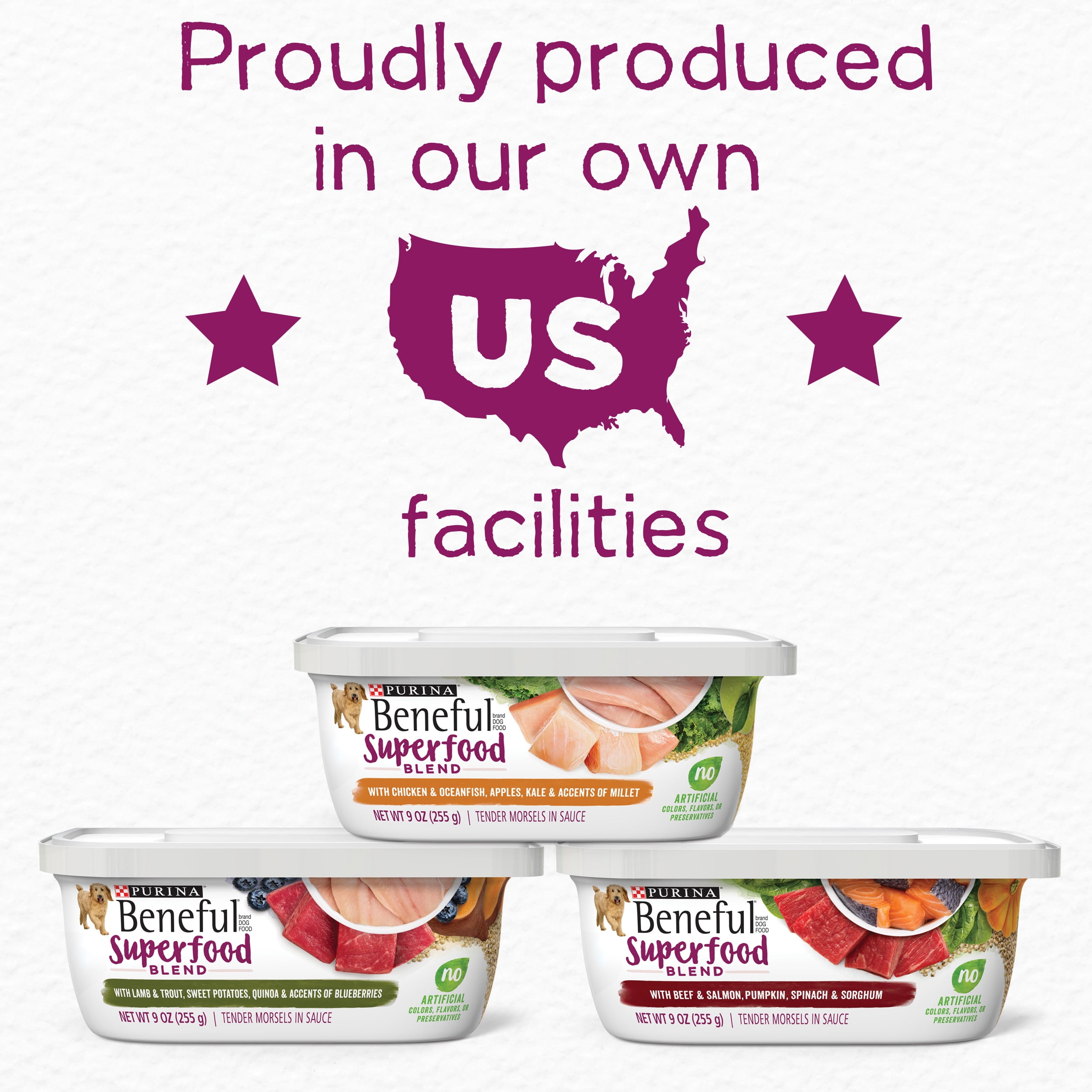 purina beneful superfood blend