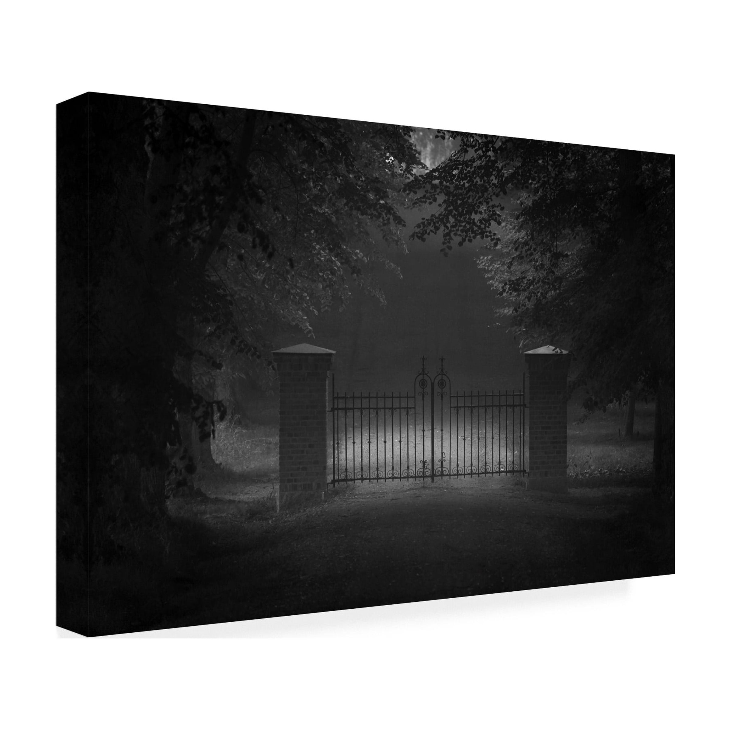Allan Wallberg 'Far But No Further' Canvas Art