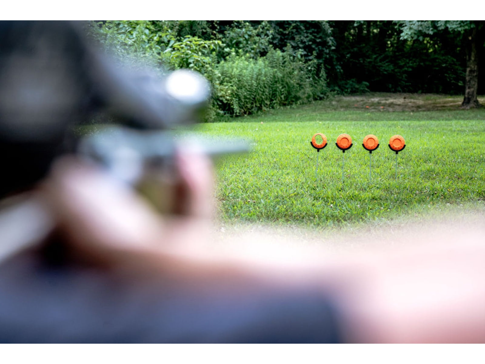 Do-All Traps Pigeon Perch Clay Target