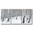 thumbnail image 2 of wall26 Canvas Print Wall Art Set Snowy Birch Tree Forest Landscape Nature Wilderness Photography Realism Rustic Scenic Colorful Multicolor Ultra for Living Room, Bedroom, Office - 24"x36"x3, 2 of 4