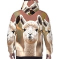 thumbnail image 3 of Bingfone Cute Alpaca in Daze Men's Drawstring Hoodie Long Sleeve Pocket Sweatshirts-Small, 3 of 6
