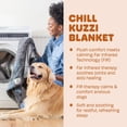 thumbnail image 6 of DGS Pet Products Chill Kuzzi FIR Blanket Large Grey 40" x 50" x 0.5", 6 of 7