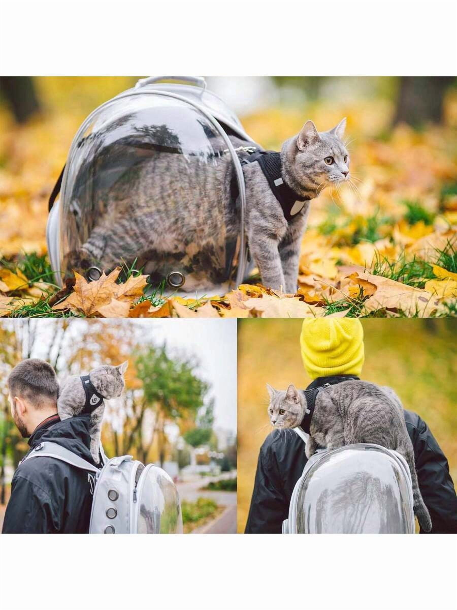 Cat Backpack, Pet Bubble Backpack, Pet Capsule Backpack, Small Space Pet Travel Bag, Waterproof And Breathable Pet Harness Approved By The Airline,Suitable For Travel,Hiking,Walking And Outdoor Use