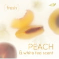 thumbnail image 4 of Dove Women's Whole Body Deodorant Cooling Spray Peach & White Tea Aluminum Free, 4 oz, 4 of 12
