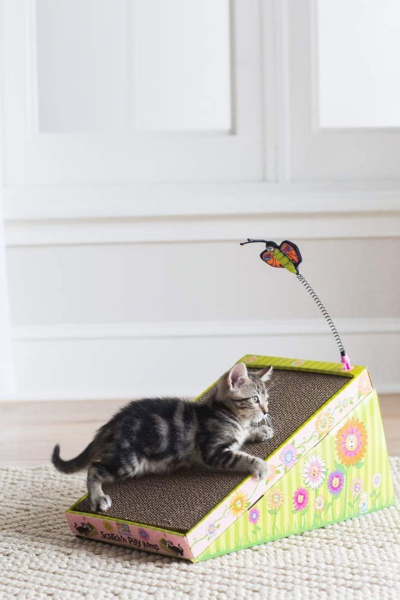 Scratch Nplay Ramp Fat Scratch Cat