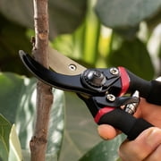 Mr. Pen- Pruning Shears, Garden Shears, 8 Professional, Titanium Blade, Garden Scissors, Gardening Shears