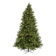 thumbnail image 1 of Albany Spruce Pre-lit LED Christmas Tree, 1 of 1