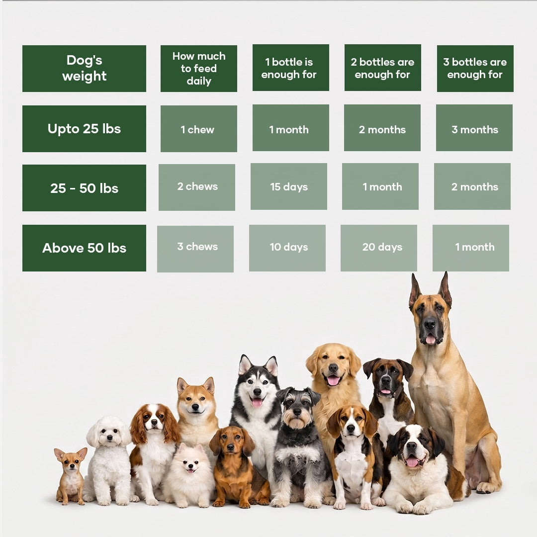 Aniwell DermaPrex Dog Itch Relief Chews | Vitamin E & Borage Oil | Anti Itch Dog Supplement | Seasonal Allergy & Itchy Skin Support | All Breeds