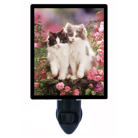 Night Light - Photo Light - Best Friends - Cats