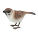 thumbnail image 4 of Figura de pájaro realista, figura de pájaro, decoración de pájaro en miniatura, figura de animal gorrión, 4 of 9