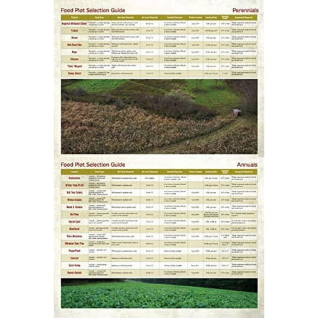 Whitetail Institute BowStand Deer Food Plot Seed Annual Forage Designed to Attract Deer to Small Remote Food Plots for Bow Hunting Can Be Planted with Hand Tools 4 lbs (4500 sq