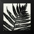 thumbnail image 2 of Allen, Kimberly 12x12 Black Modern Framed Museum Art Print Titled - Pressed Fern 1, 2 of 5