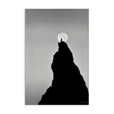 Stupell Industries Bird Silhouette on Peak Landscape Photography Gallery Wrapped Canvas Art Print Wall Art 16 x 24