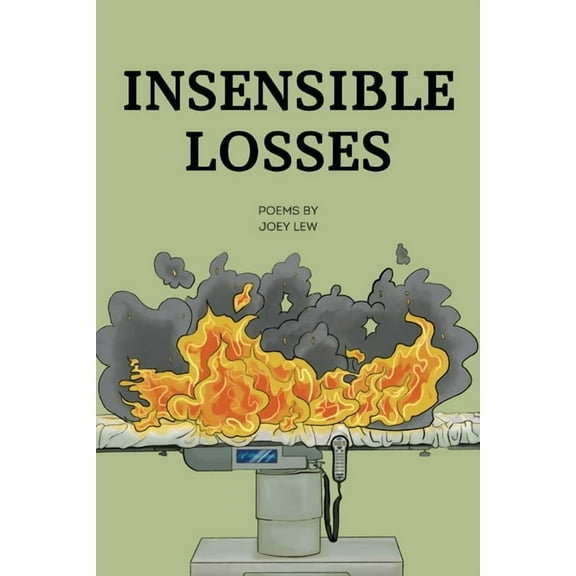 Insensible Losses, (Paperback)