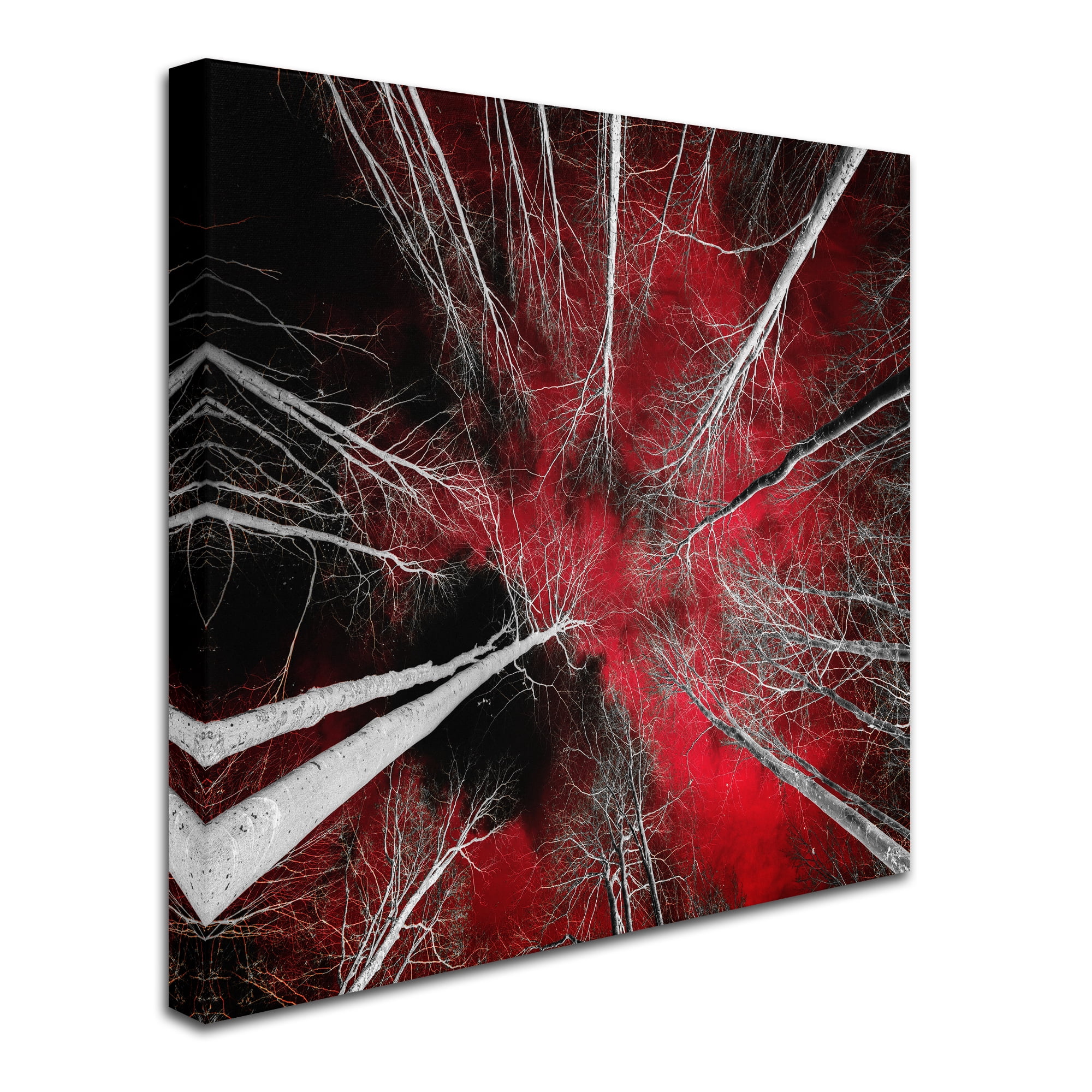 Trademark Fine Art "I Can't Believe It" Canvas Art by Philippe Sainte-Laudy