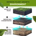 thumbnail image 4 of Yegbong Soil Activator 100G - Enhances Soil Aeration, Improves Water Drainage, Boosts Nutrient Availability, Promotes Root Development - For Gardeners, Home Gardeners, Plant, 4 of 7