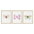 thumbnail image 2 of PixonSign Framed Canvas Print Wall Art Set - Colorful Butterfly Portraits Posters - Set of 3 Pastel Nature Country/Farmhouse Preppy Room Decor Boho Wall Décor for Bedroom, Office - 12"x16"x3 Natural, 2 of 5