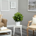 thumbnail image 4 of Nearly Natural 2ft. Golden Dieffenbachia Artificial Plant in White Metal Planter, 4 of 4