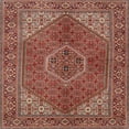 thumbnail image 1 of Ahgly Tapis d'Intérieur Lavable en Machine Carré Traditionnel Rouge Tomate, 3 Pieds Carré, 1 of 7