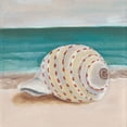 thumbnail image 2 of Ludwig, Alicia 26x26 White Modern Wood Framed Museum Art Print Titled - She Sells Seashells II, 2 of 4