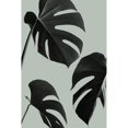 thumbnail image 2 of Artographie Studio 11x14 Black Modern Framed Museum Art Print Titled - Monstera Teal 05, 2 of 4