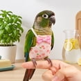 thumbnail image 4 of OCCOA Conure Flight Suit Bird Diaper with Poop Pocket for Budgie Cockatiel Peachface Parakeet Outdoor Clothes, White, 4 of 6