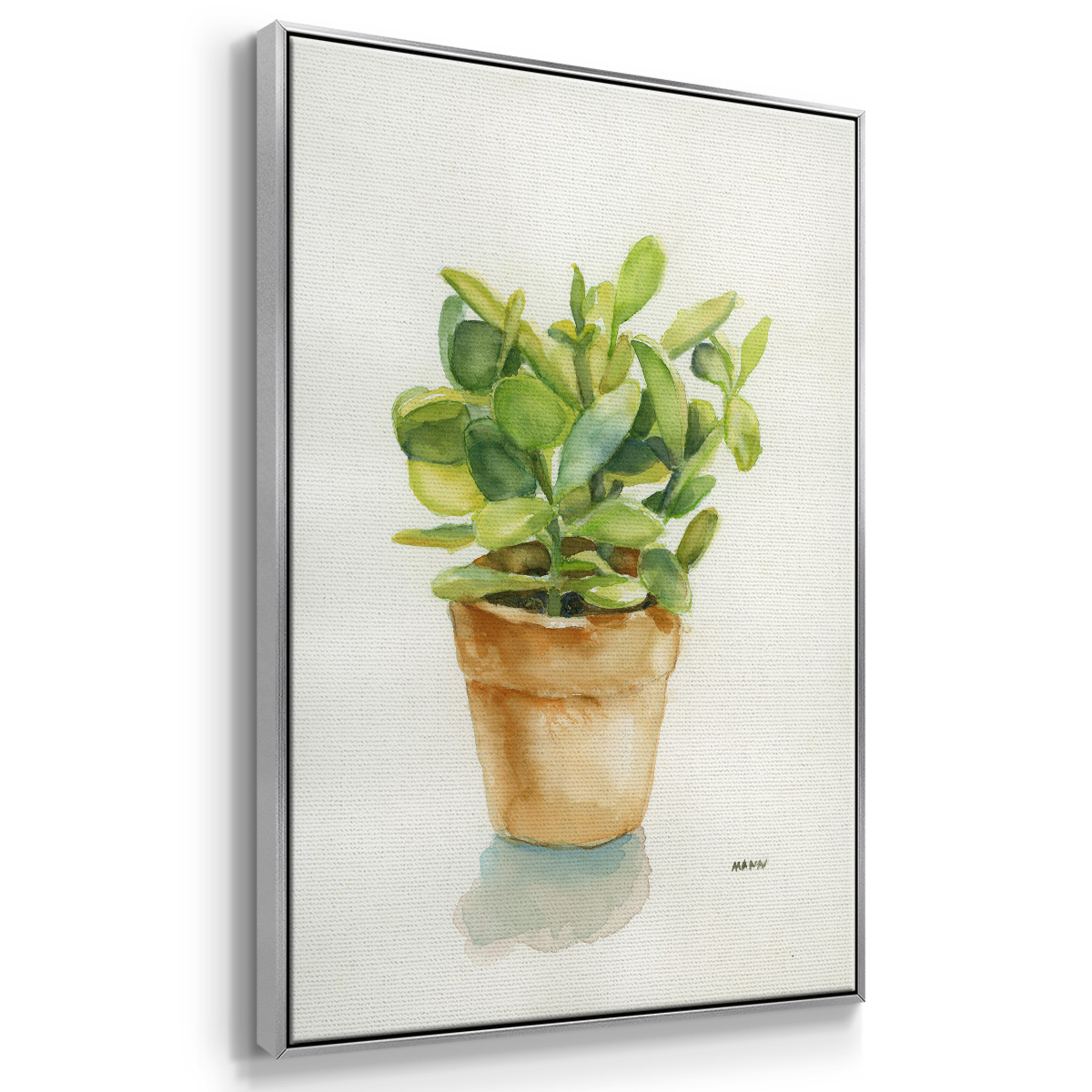 Succulent I Framed Premium Gallery Wrapped Canvas - Ready to Hang - 27 x 41 - Silver Floating Frame