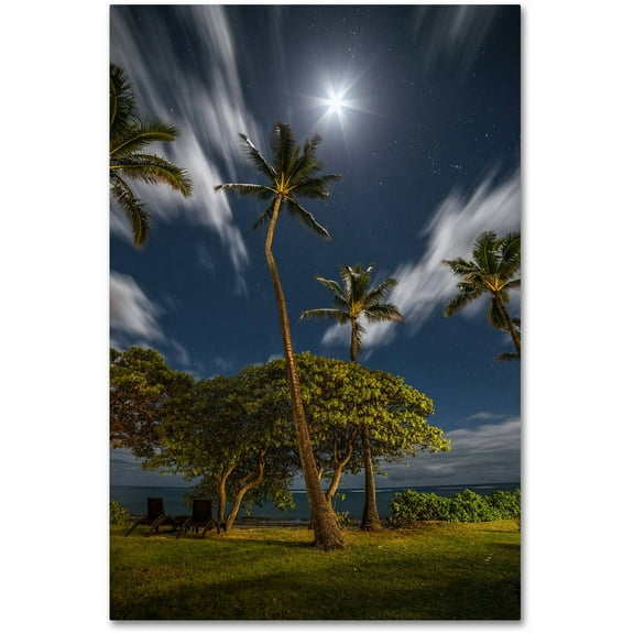 Trademark Fine Art 'Moonlit Palm Trees' Canvas Art by Pierre Leclerc